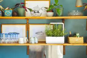 Inteligentný kvetináč Click and Grow Smart Garden 3 biely

 obrázok produktu 7 z 7