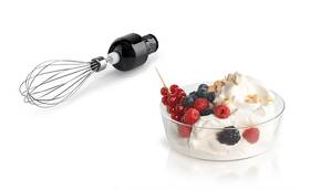 Ponorný mixér Bosch MS62B6190 čierny

 obrázok produktu 14 z 21