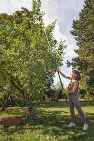 Zberač ovocia Gardena 967676501 

 obrázok produktu 8 z 9