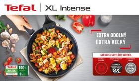 Panvica Tefal C3840753, 30 cm 

 obrázok produktu 3 z 10