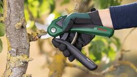 Nožnice na konáre Bosch EasyPrune 

 obrázok produktu 1 z 3