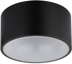 LED stropné svietidlo GLOBO Raymond, 12 W čierne

 obrázok produktu 2 z 5