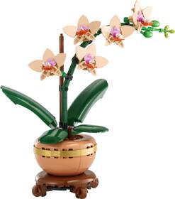 Stavebnica LEGO® Botanicals 10343 Miniaturní orchidej 

 obrázok produktu 1 z 9