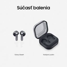 Tablet Samsung Galaxy Tab S10 Lite 6 GB / 128 GB Balíček sivý

 obrázok produktu 6 z 14