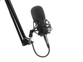 Mikrofón Genesis RADIUM 300, XLR čierny

 obrázok produktu 10 z 12