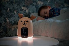 Budík Bigben RKIDSDOG béžový

 obrázok produktu 4 z 6