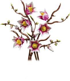 Stavebnica LEGO® Botanicals 11510 Větvičky magnólie 

 obrázok produktu 1 z 9