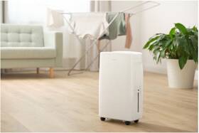 Odvlhčovač Sencor SDH 1028WH biely

 obrázok produktu 11 z 14