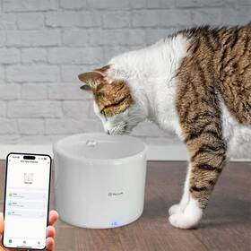 Inteligentná fontána Tellur TLL331471 Wi-Fi 2l biela

 obrázok produktu 2 z 4