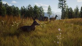 Hra THQ Nordic Way of the Hunter 

 obrázok produktu 5 z 11