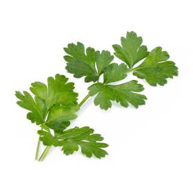 Semienka Véritable Lingot Talianska petržlen - BIO 

 obrázok produktu 1 z 1
