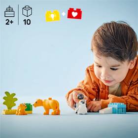 Stavebnica LEGO® DUPLO® 10442 Rodinky divokých zvierat: Tučniaky a levy 

 obrázok produktu 5 z 9