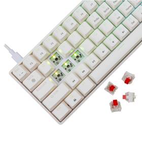 Klávesnica White Shark SHINOBI 2, US layout, Red Switch biela

 obrázok produktu 3 z 11