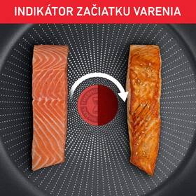 Panvica Tefal C2890402, 24 cm 

 obrázok produktu 6 z 10