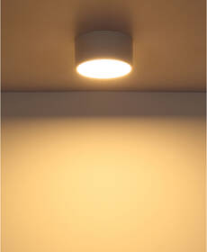 LED stropné svietidlo GLOBO Raymond, 12 W biele

 obrázok produktu 4 z 4