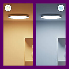 LED stropné svietidlo WiZ Rune Ceiling 21W, RGB čierne

 obrázok produktu 6 z 10