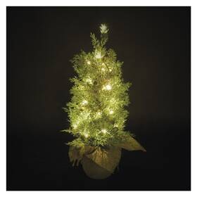 LED dekorácie EMOS svietiaci stromček, 50 cm, 30LED, vonkajšia aj vnútorná, teplá biela, časovač 

 obrázok produktu 8 z 8