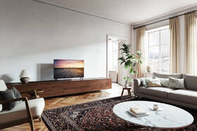 Televízor Panasonic TV-43W90AEG 

 obrázok produktu 11 z 11