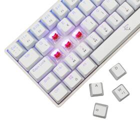 Klávesnica White Shark SHINOBI 2, CZ/SK layout, Red switch biela

 obrázok produktu 3 z 12