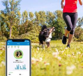 GPS lokátor Tractive DOG 4 LTE – sledování polohy a aktivity pro psy biely

 obrázok produktu 3 z 9