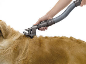 Hubica Dyson DS-921000-01 

 obrázok produktu 1 z 9