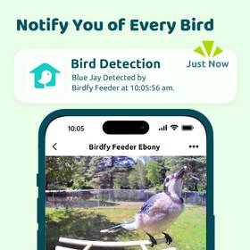 Vtáčie krmítko Birdfy Ebony s kamerou (AI predplatné) 

 obrázok produktu 9 z 10