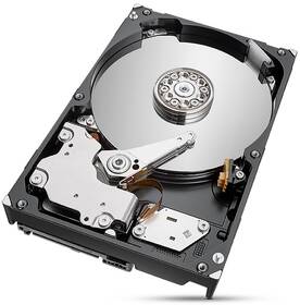 Pevný disk 3,5" Seagate IronWolf Pro 10TB sivý

 obrázok produktu 3 z 3