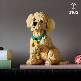 Stavebnica LEGO® Icons 11384 Štěně zlatého retrívra 

 obrázok produktu 5 z 9