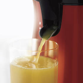 Lis na citrusy RUSSELL HOBBS 26010-56 červený

 obrázok produktu 3 z 10