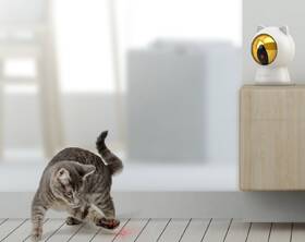 Inteligentná hračka Petoneer Smart Dot biela

 obrázok produktu 2 z 3