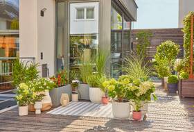 Súprava na zavlažovanie Gardena MicroDrip System 13400-20 

 obrázok produktu 6 z 7