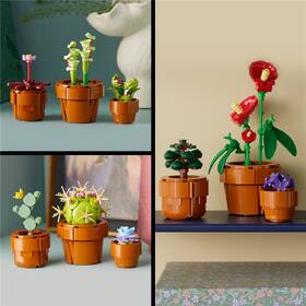 Stavebnica LEGO® Botanicals 10329 Miniaturní rostliny 

 obrázok produktu 8 z 8