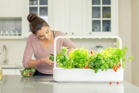 Inteligentný kvetináč Click and Grow Smart Garden 9 biely

 obrázok produktu 6 z 7