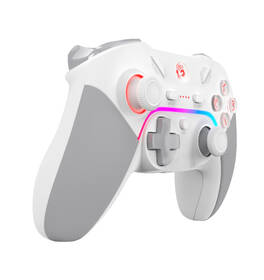 Gamepad A4Tech GPW70 biely

 obrázok produktu 6 z 7