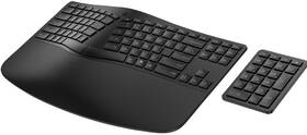 Klávesnica HP 960 Ergonomic CZ čierna

 obrázok produktu 3 z 4