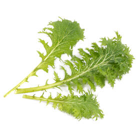 Semienka Véritable Lingot Wasabi horčica listová - BIO 

 obrázok produktu 1 z 1