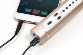 Karaoke mikrofón Technaxx BT-X35 strieborný/zlatý

 obrázok produktu 6 z 10