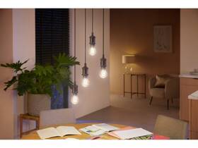 Inteligentná žiarovka Philips Bluetooth, filament, 7W, E27, White Ambiance 

 obrázok produktu 7 z 7