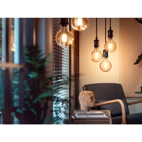Inteligentná žiarovka Philips Bluetooth Filament, 7W, E27, White 

 obrázok produktu 3 z 6