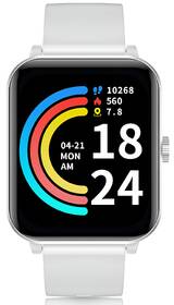 Inteligentné hodinky Niceboy Watch Lite 4 - Arctic Silver 

 obrázok produktu 8 z 8