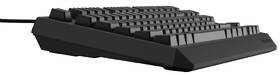 Klávesnica Genesis THOR 230, TKL, RGB, Outemu Red, CZ-SK layout čierna

 obrázok produktu 5 z 19