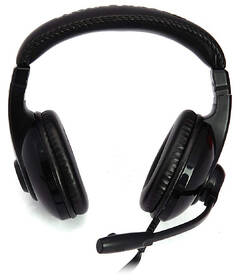 Headset Zalman ZM-HPS200 čierny

 obrázok produktu 2 z 4