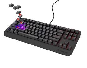 Klávesnica Genesis THOR 230, TKL, RGB, Outemu Red, CZ-SK layout čierna

 obrázok produktu 9 z 19