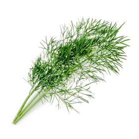 Semienka Véritable Lingot Kôpor - BIO 

 obrázok produktu 1 z 2