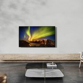Televízor Panasonic TX-55LZ980E 

 obrázok produktu 8 z 9