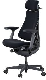 Ergonomická stolička LiberNovo Omni, 48 cm čierna

 obrázok produktu 5 z 8