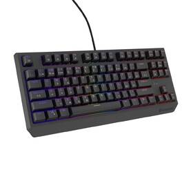 Klávesnica Genesis THOR 230, TKL, RGB, Outemu Red, CZ-SK layout čierna

 obrázok produktu 14 z 19