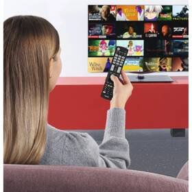 Diaľkový ovládač Hama pre TV LG 1:1 čierny

 obrázok produktu 2 z 3