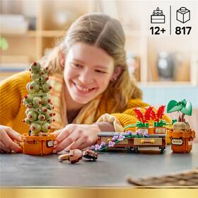 Stavebnica LEGO® Harry Potter™ 76474 Rostliny z hodiny bylinkářství v Bradavicích 

 obrázok produktu 4 z 8
