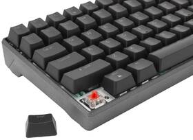 Klávesnica White Shark KATANA , US layout, Red Switch čierna/sivá

 obrázok produktu 6 z 7